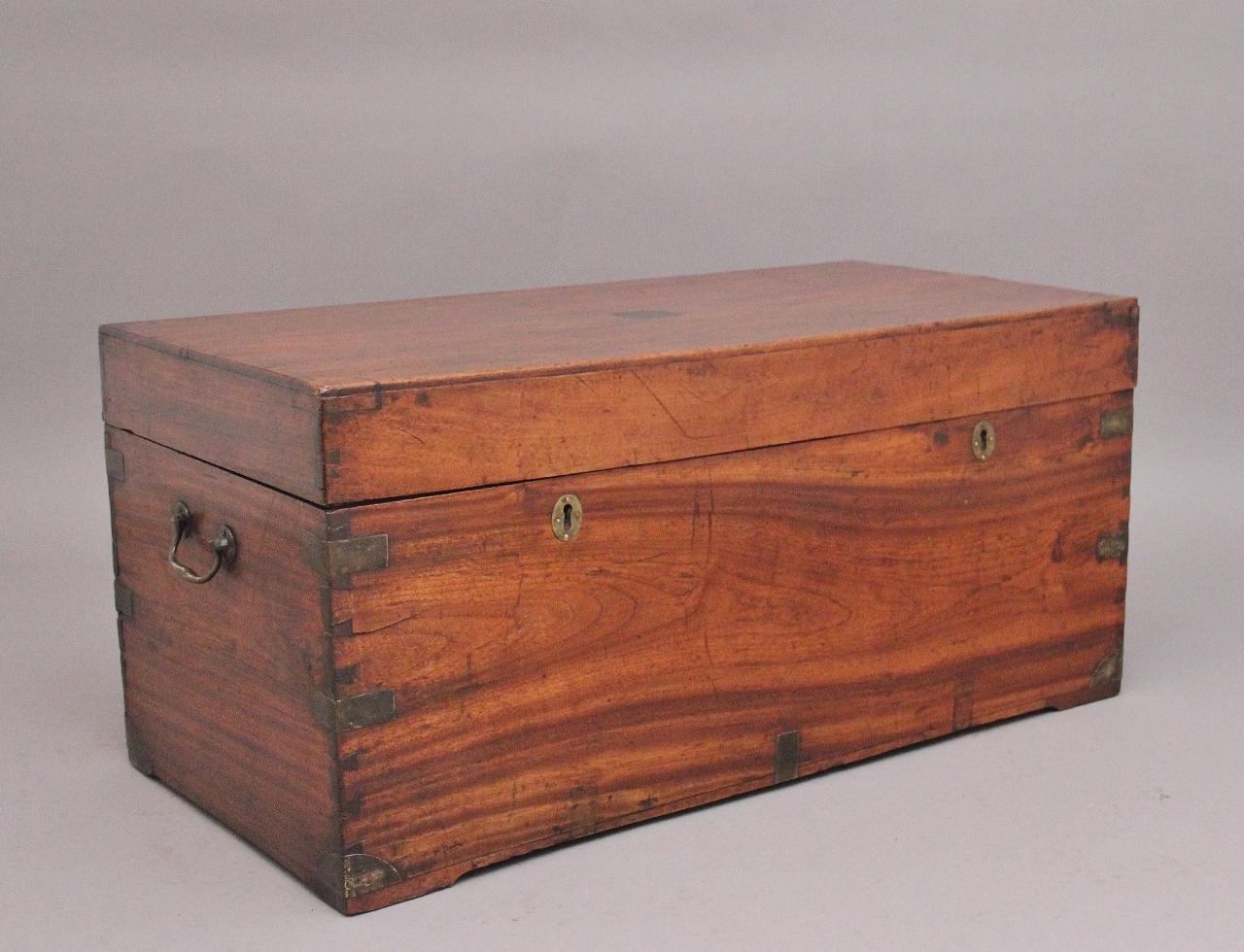 19th Century Camphor Wood Campaign Trunk (1 of 10)