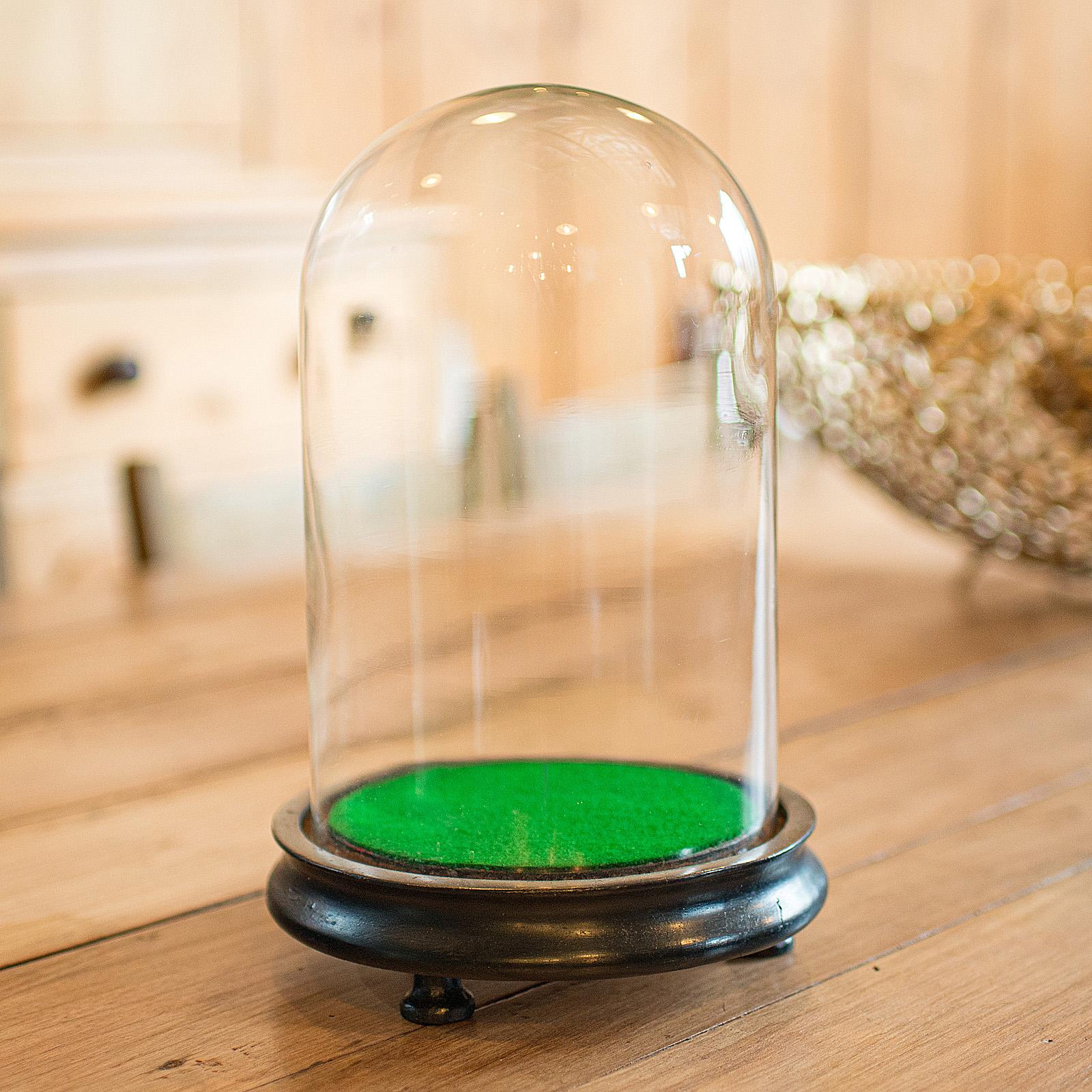 Small Antique Display Dome, English, Taxidermy, Specimen, Showcase - Victorian (1 of 9)