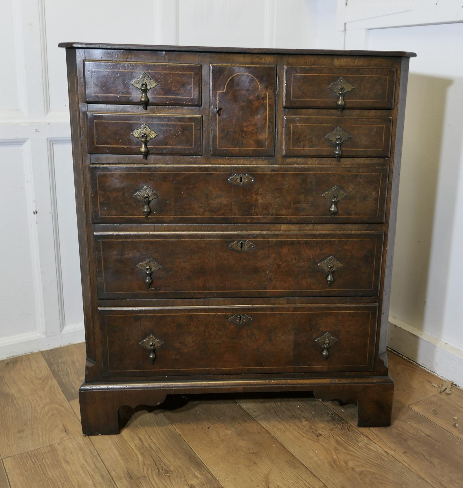 A Fine Burr Walnut and Oak Chest of Drawers (1 of 9)