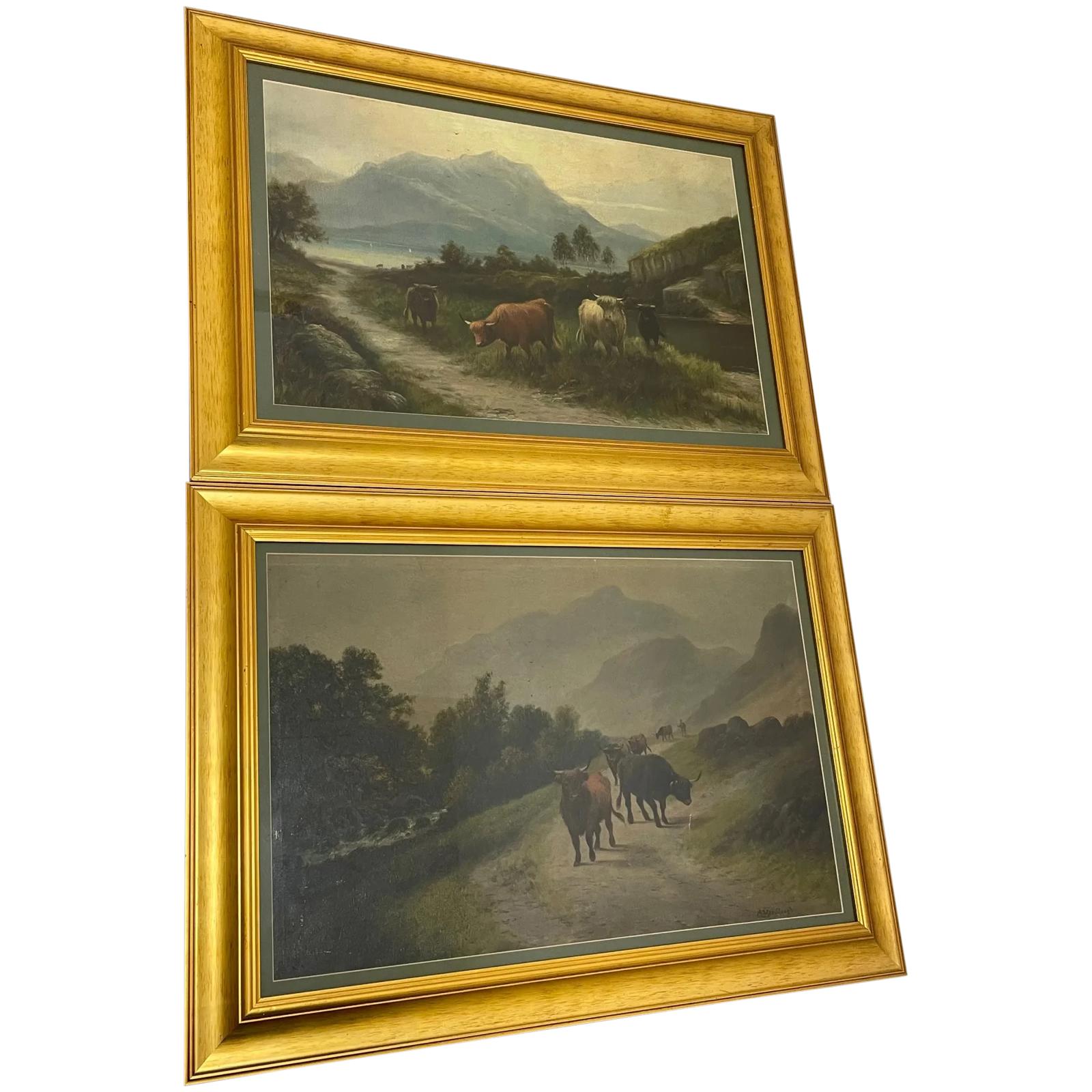 Pair of Victorian Pastoral Oil Paintings 19th Century Scottish Highlands Cattle (1 of 12) Pair of Victorian Pastoral Oil Paintings 19th Century Scottish Highlands Cattle (1 of 12)