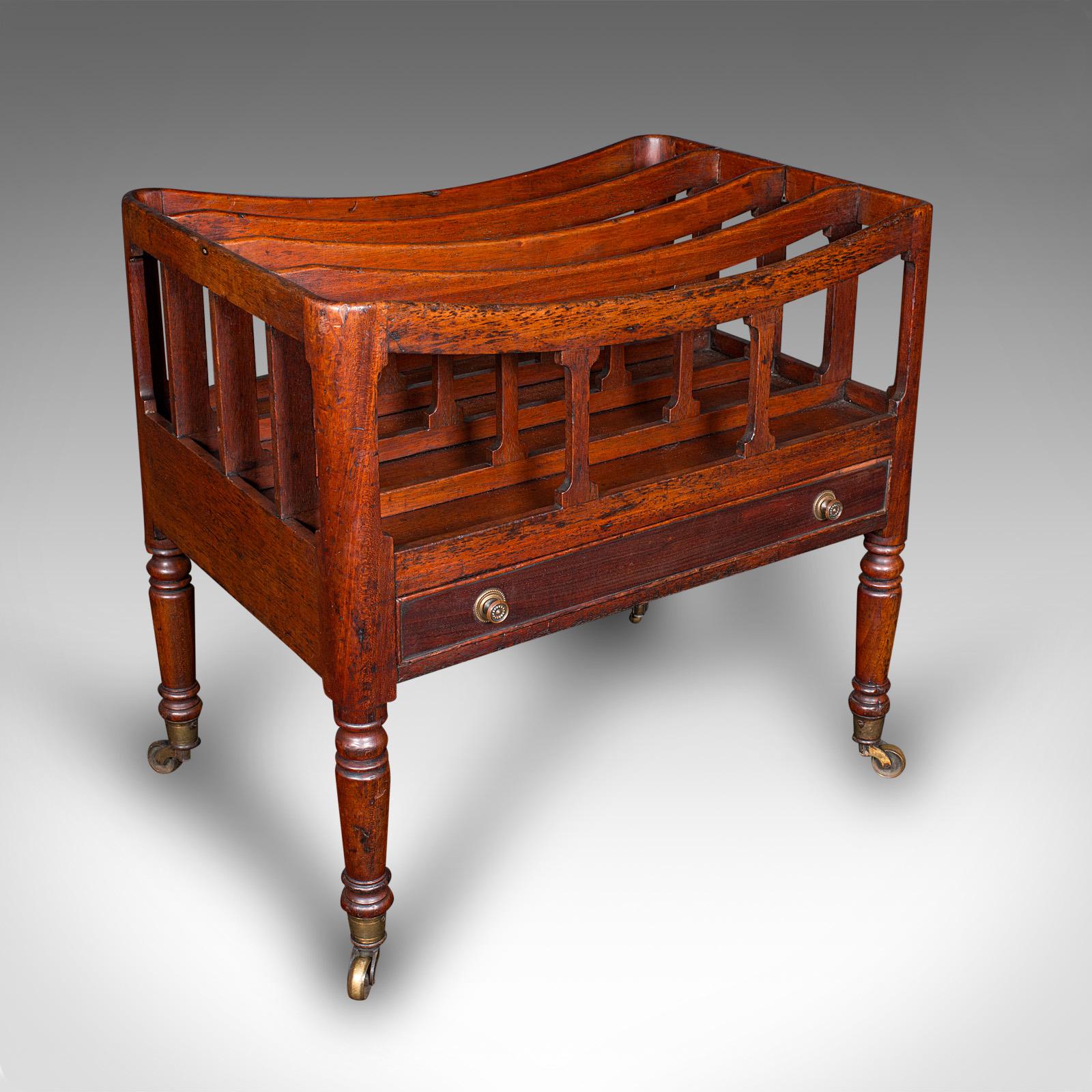 Antique Low Profile Canterbury, English, Newspaper Rack, Magazine Stand, Regency (1 of 9)