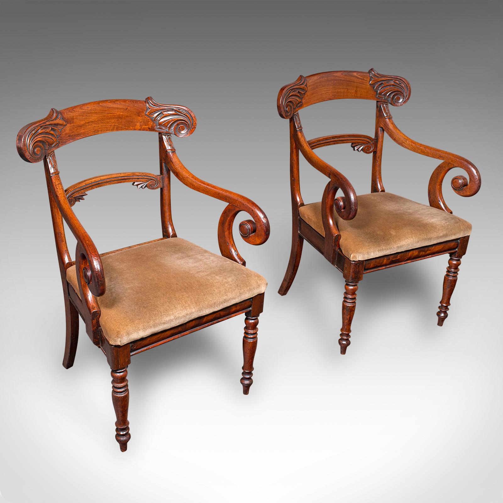 Pair of Antique Morning Room Chairs, English, Elbow Seat - Regency c.1820 (1 of 12)