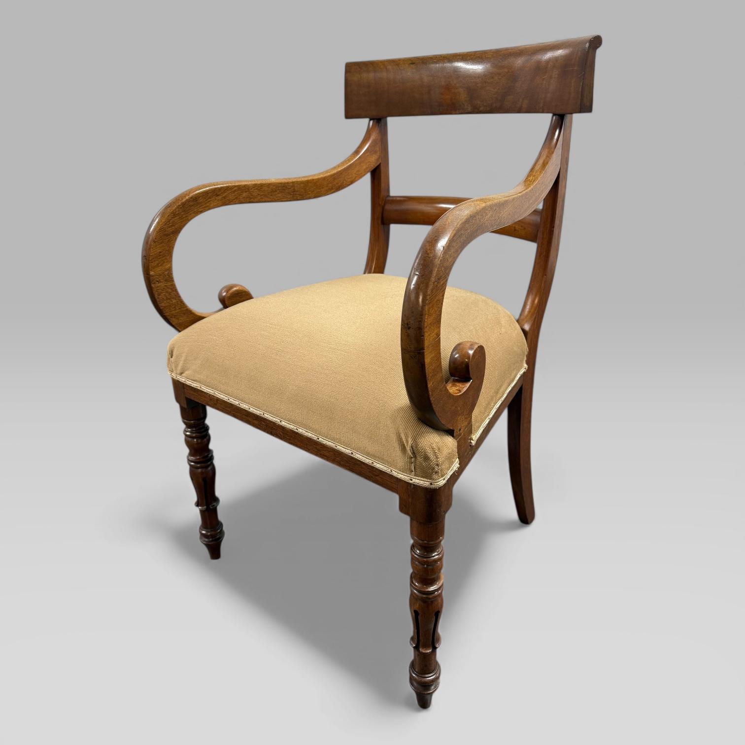 Antique William IV Mahogany Elbow Chair with Carved Tulip Legs (1 of 13) Antique William IV Mahogany Elbow Chair with Carved Tulip Legs (1 of 13)