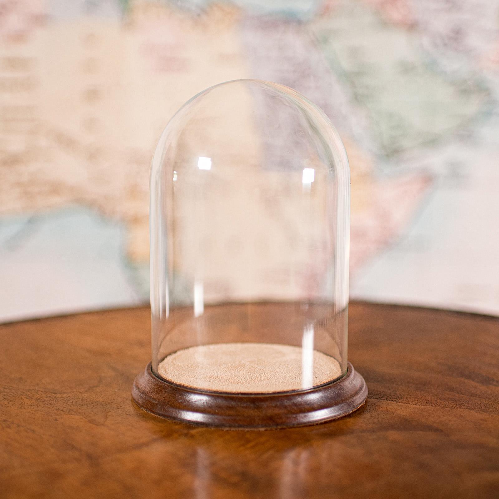 Small Antique Display Dome, English, Glass, Beech, Showcase - Edwardian c.1910 (1 of 9)