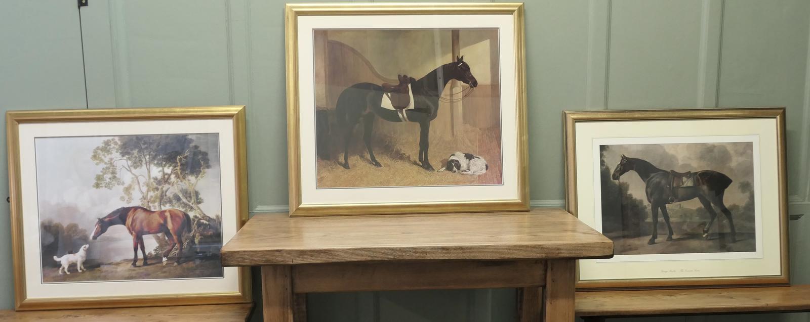 3 Large Framed Prints of Horses, George Stubbs (1 of 6)