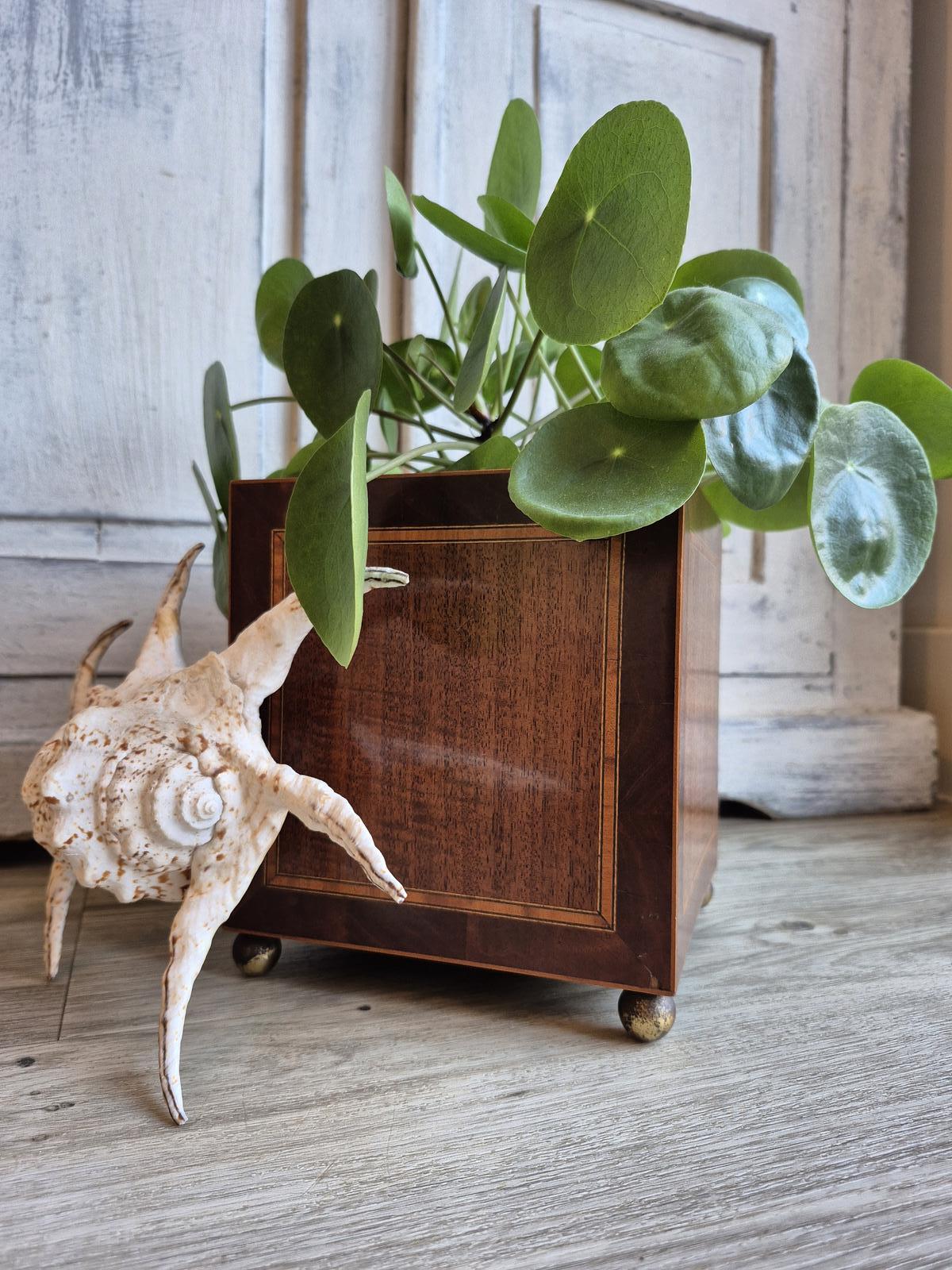 Antique Wooden Planter, Antique Inlaid Furniture (1 of 17)