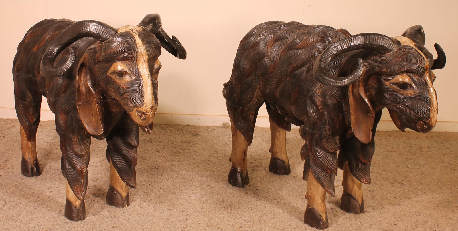 Pair of Scottish Ram in Polychrome Wood - 19th Century (1 of 19)