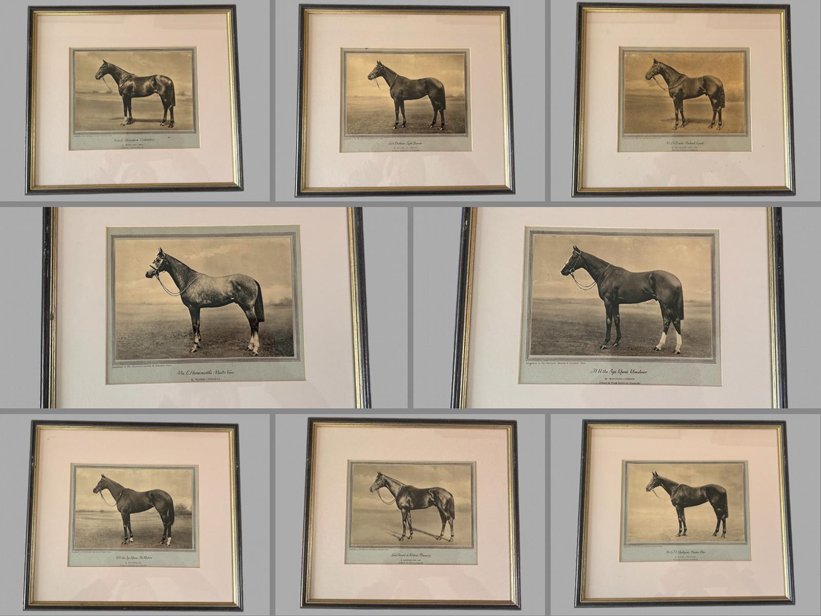 Wonderful Set of Eight Famous Racehorses 1933 Framed & Glazed (1 of 9)
