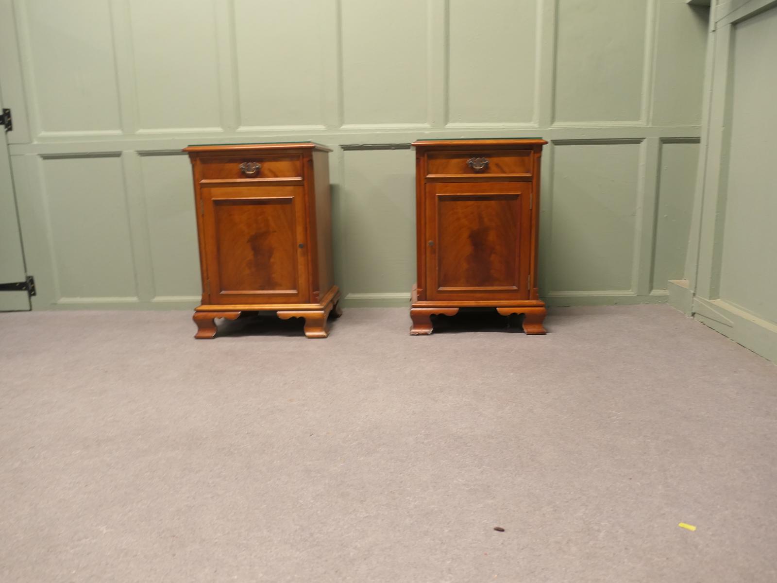 Pair of Figured Walnut Bedside Cupboards (1 of 6)