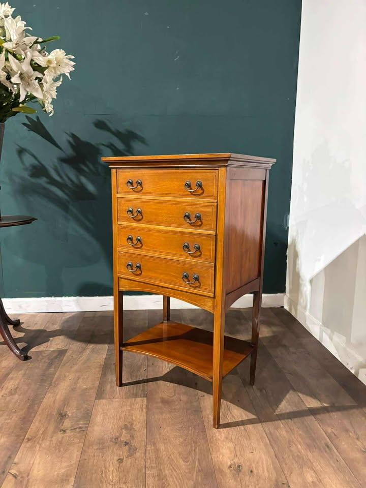 Edwardian Inlaid Mahogany Music Cabinet (1 of 17)