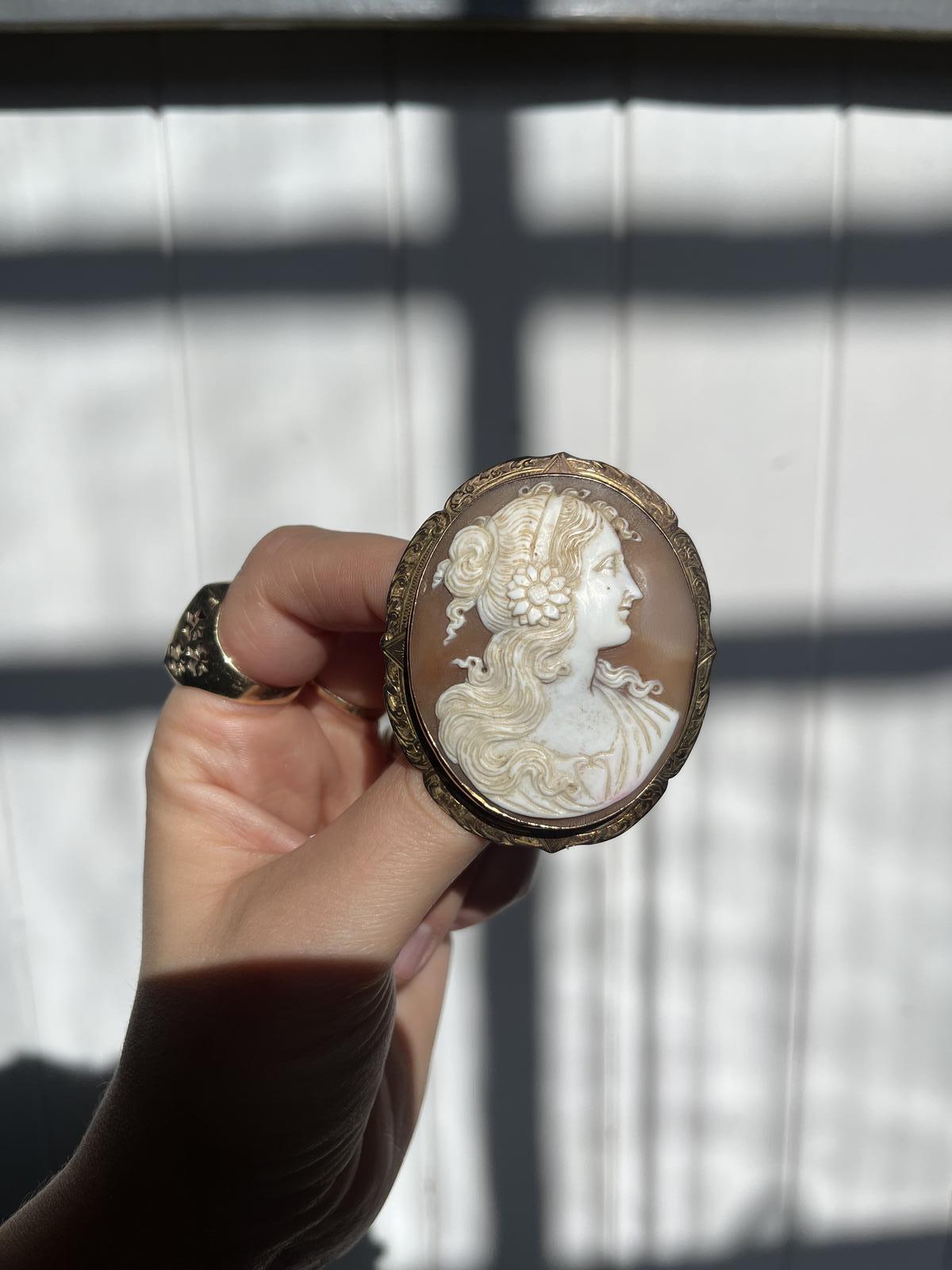 Cameo Brooch / Pendant (1 of 4)