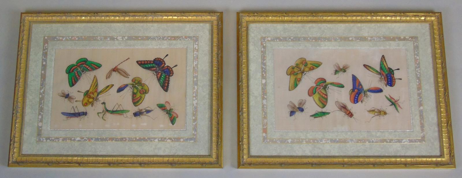 Fine Antique Pair of Chinese Paintings Butterflies & Insects on Pith (1 of 10)