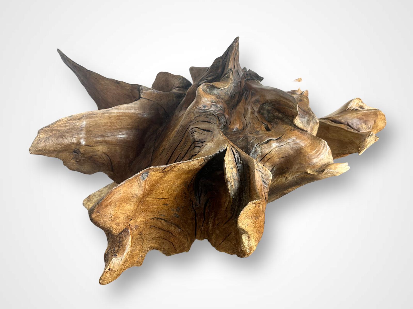 Natural Abstract Wooden Sculpture Huge Decorative Root (1 of 16)