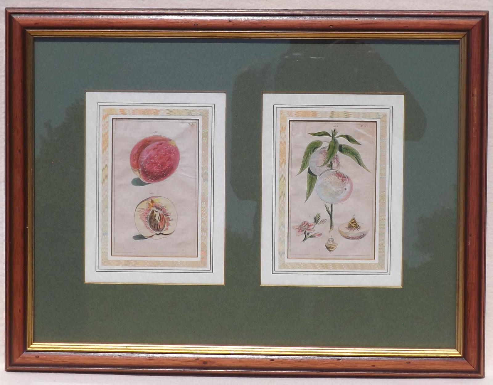 Engravings of Peaches (1 of 1) Engravings of Peaches (1 of 1)