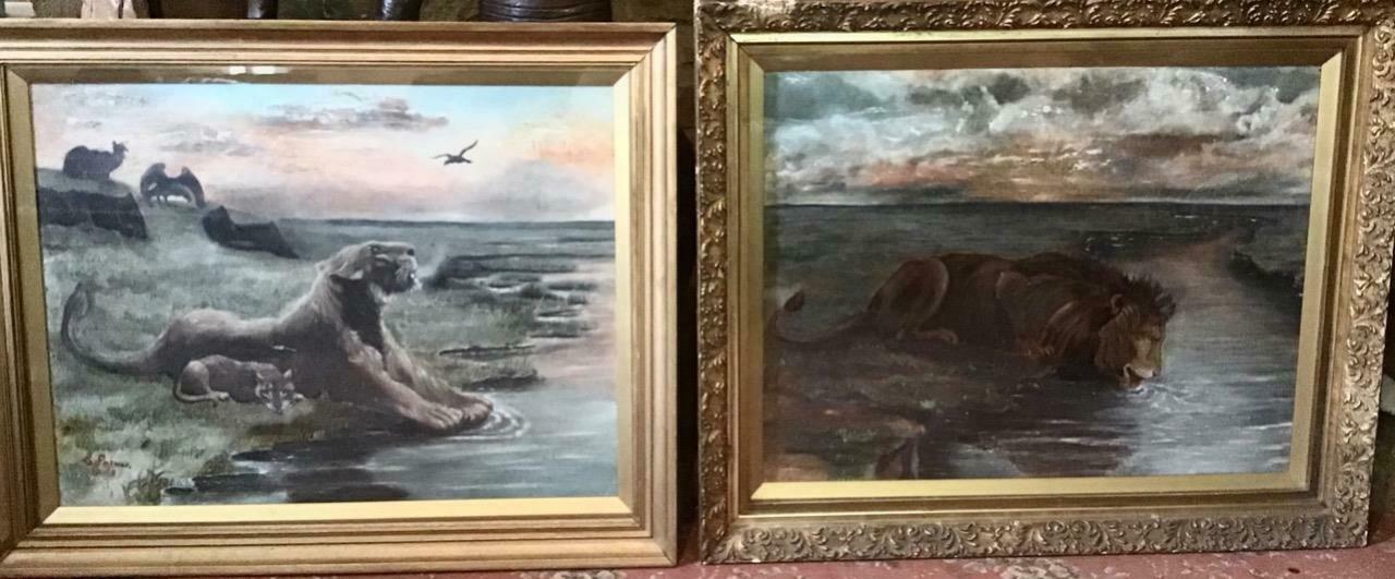 Large Pair of Victorian Paintings of Male & Female Lions Signed & Dated 1895 (1 of 9) Large Pair of Victorian Paintings of Male & Female Lions Signed & Dated 1895 (1 of 9)