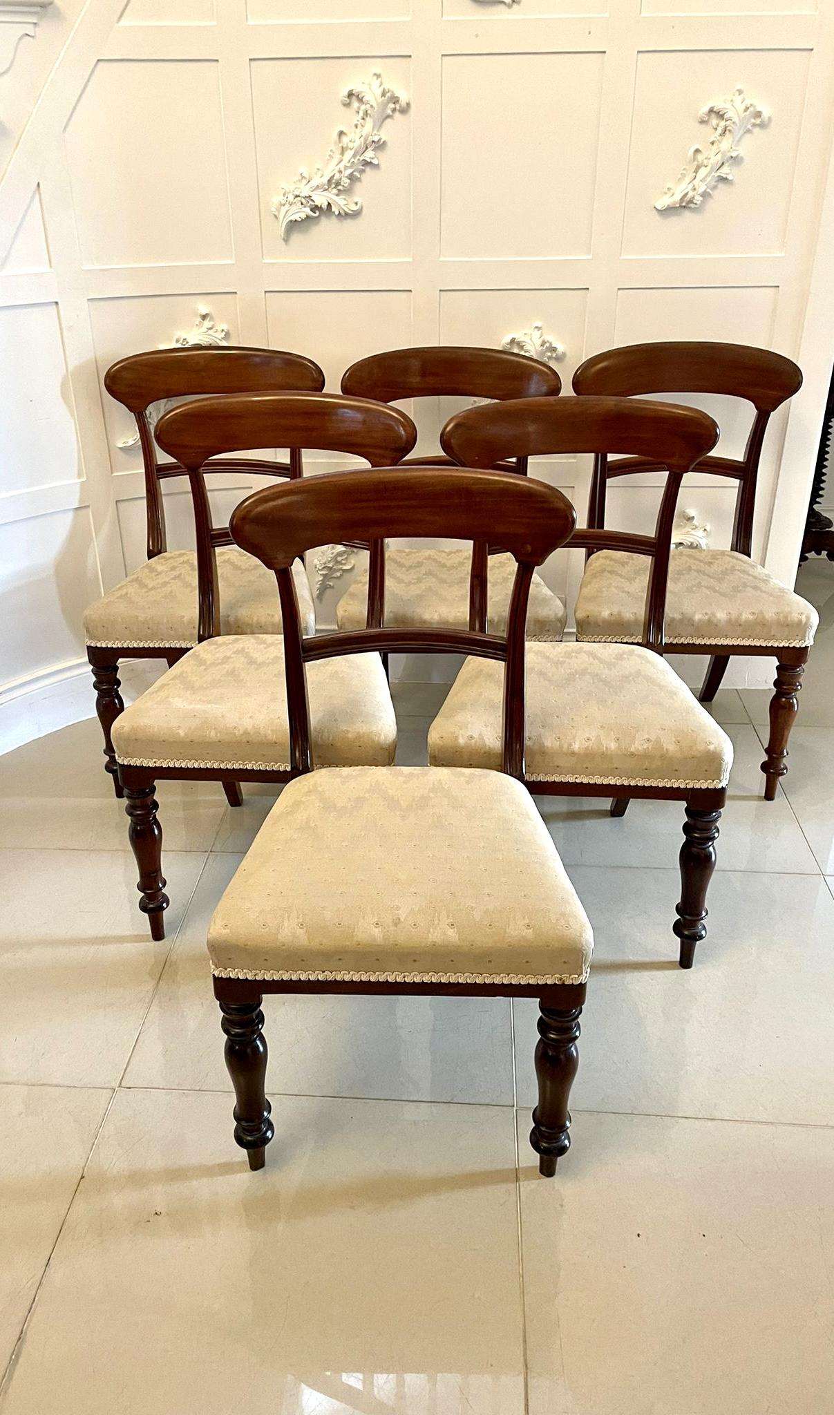Set of 6 Antique Victorian Quality Mahogany Dining Chairs (1 of 14) Set of 6 Antique Victorian Quality Mahogany Dining Chairs (1 of 14)