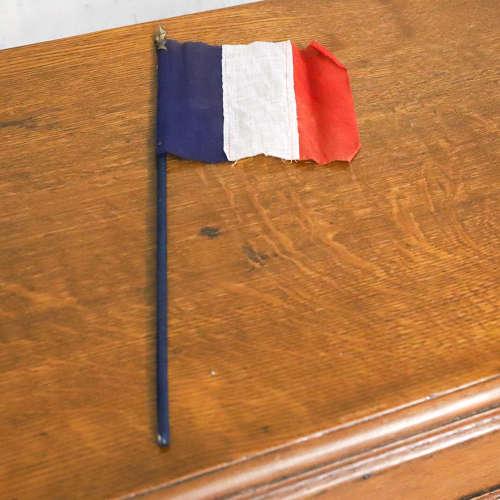 Small Handheld Drapeau Français Tricolore (Celebration Flags) (1 of 4)
