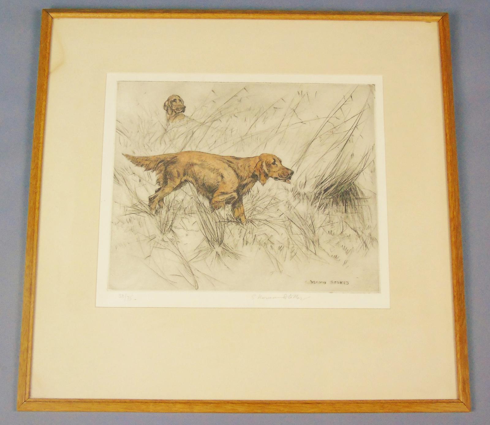 undefined - main image