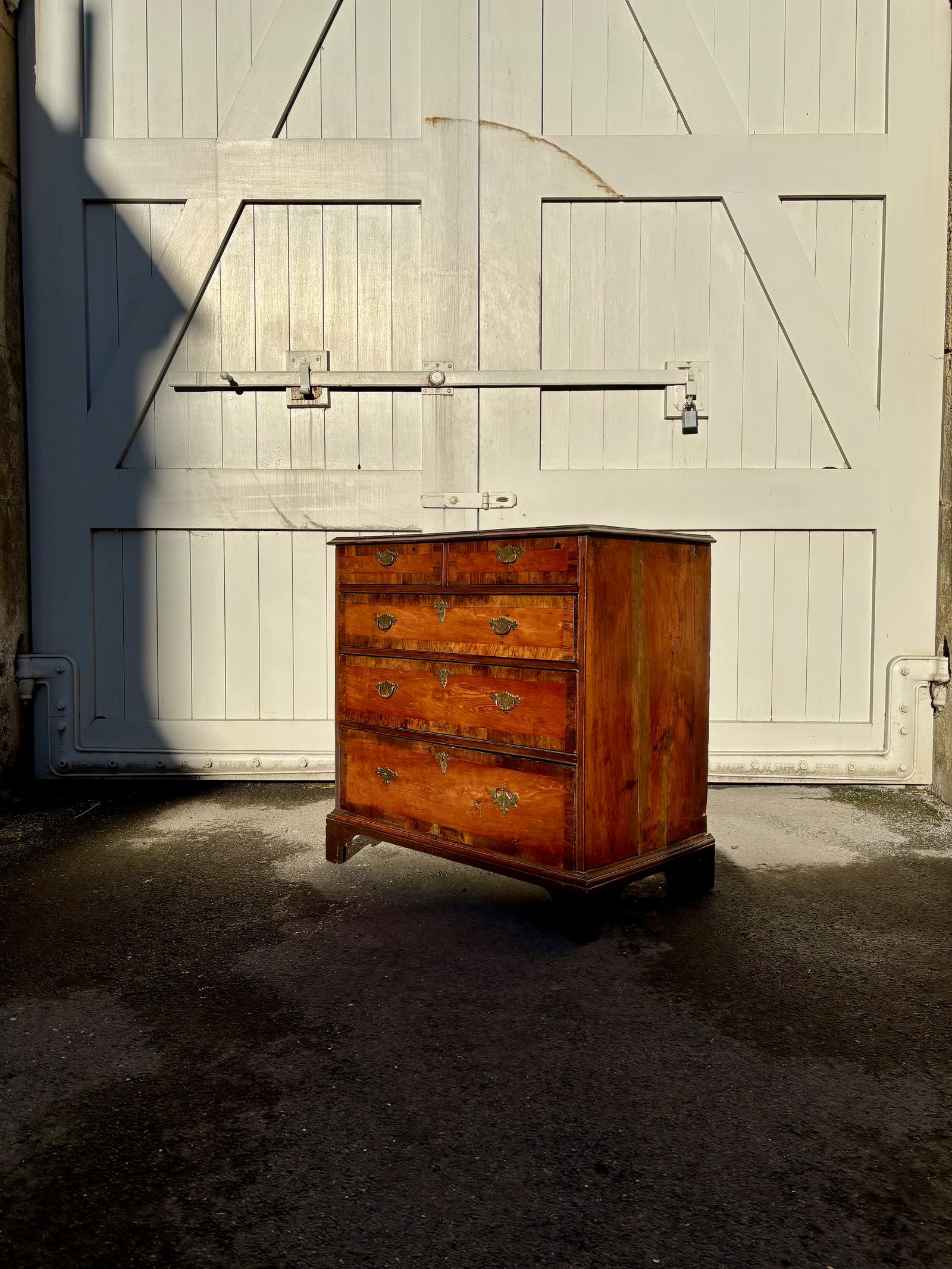 George III Satin Wood Chest Of Drawers With Walnut Cross Banding (1 of 15)