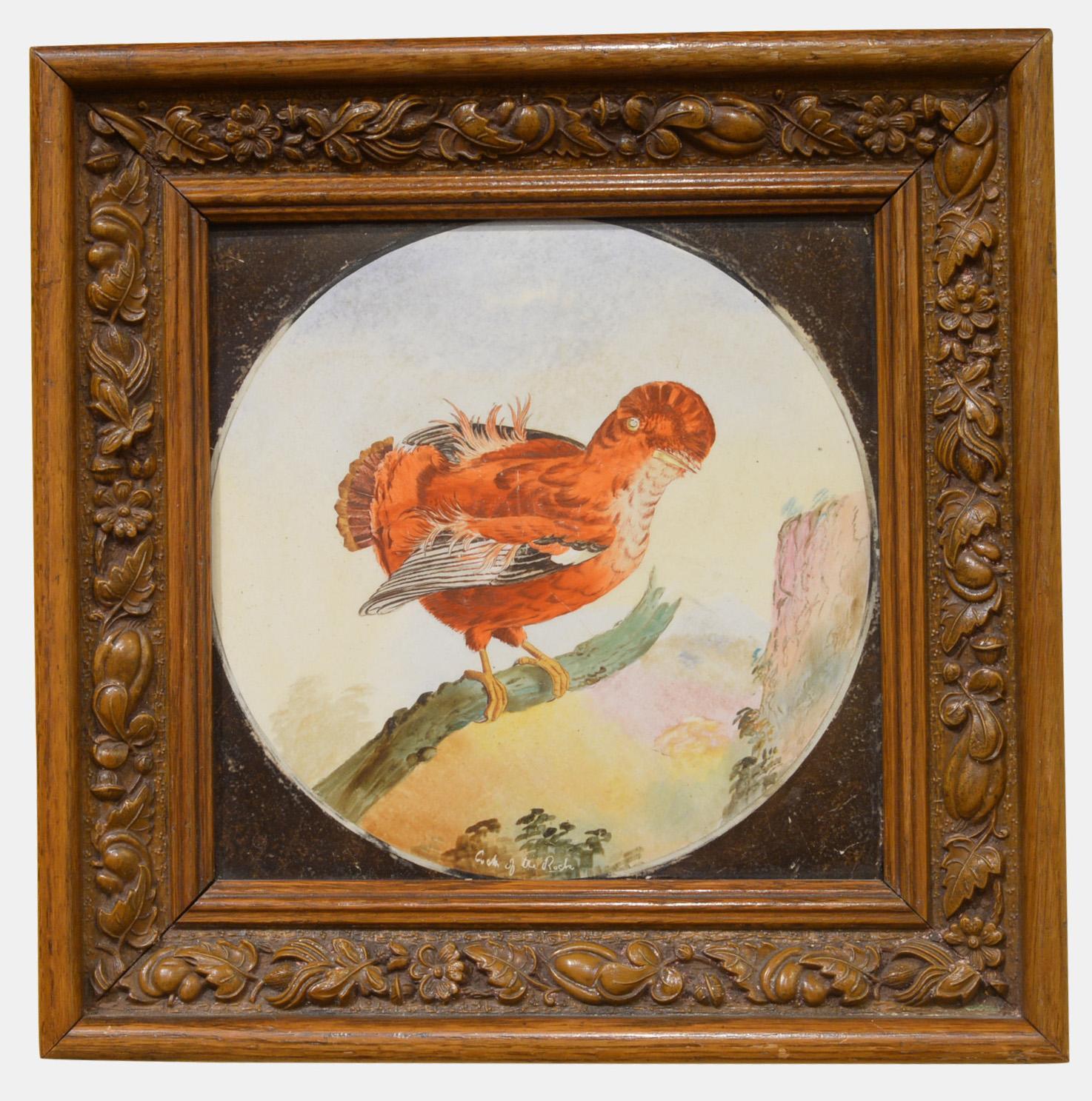 Framed Copeland Tile 'Cock o' the Rock' (1 of 1)