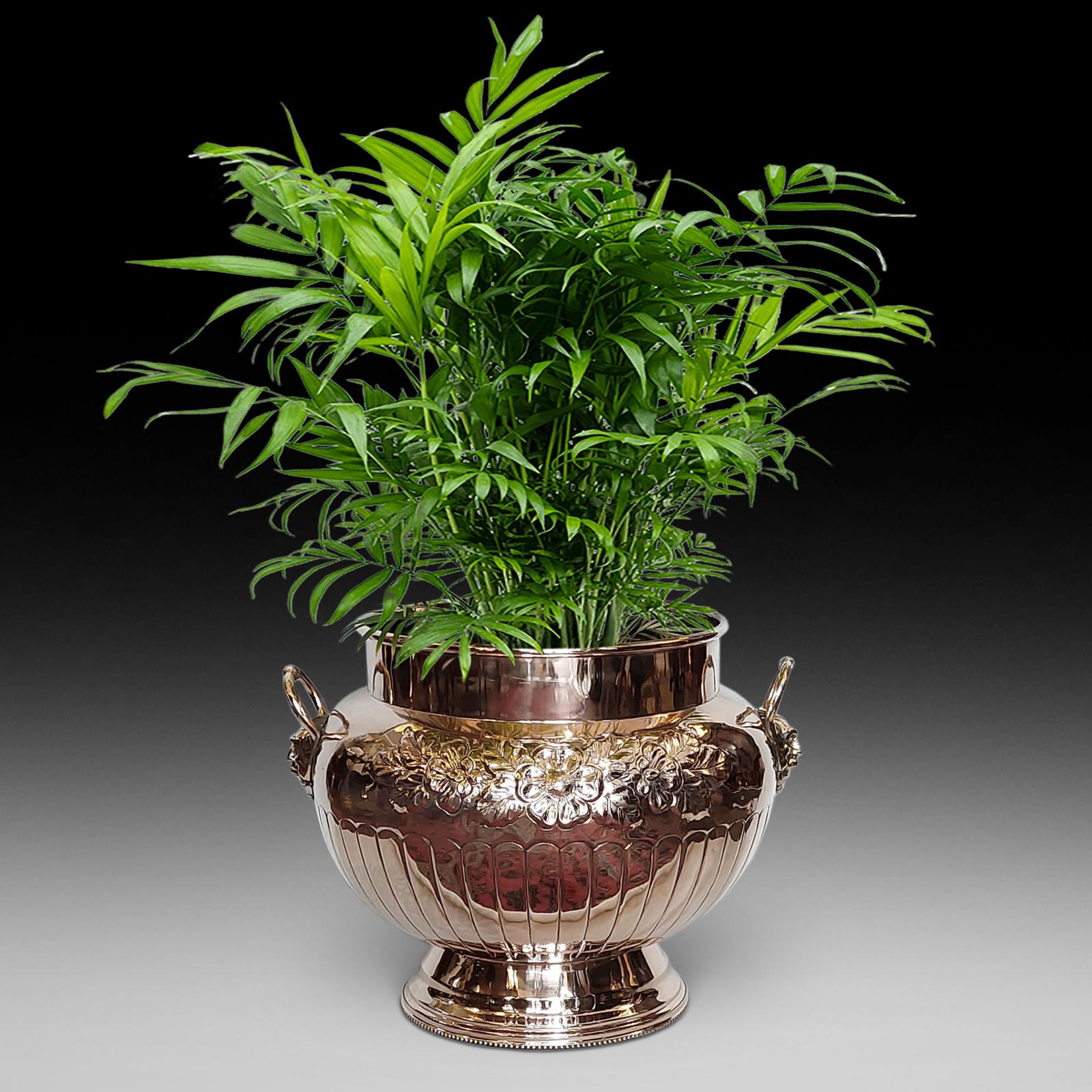 Victorian Copper Planter Log Bucket (1 of 10)