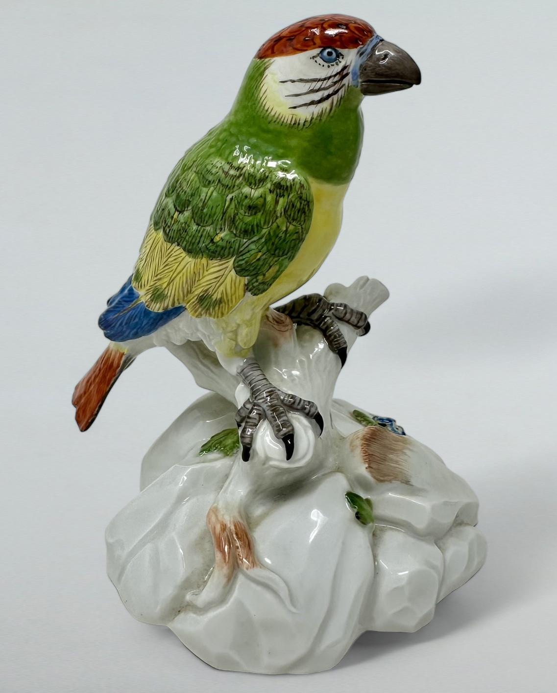 Antique German Meissen Continental Porcelain Parrot Bird Green Gilt 19th Century (1 of 7)