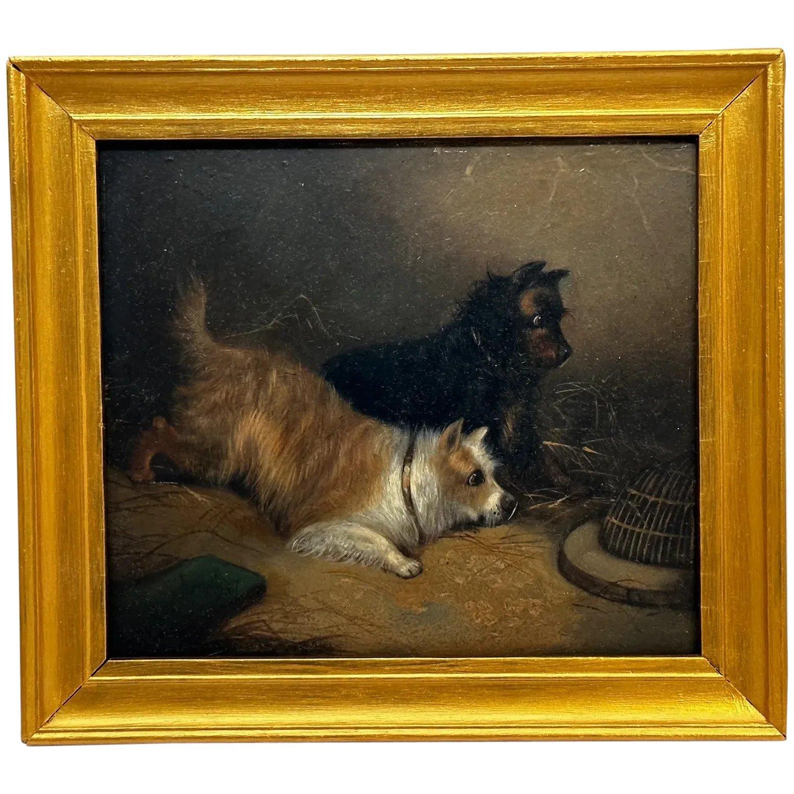 Victorian Oil Painting Hunting 2 Terrier Dogs On The Scent Ratting George Armfield (1 of 43)