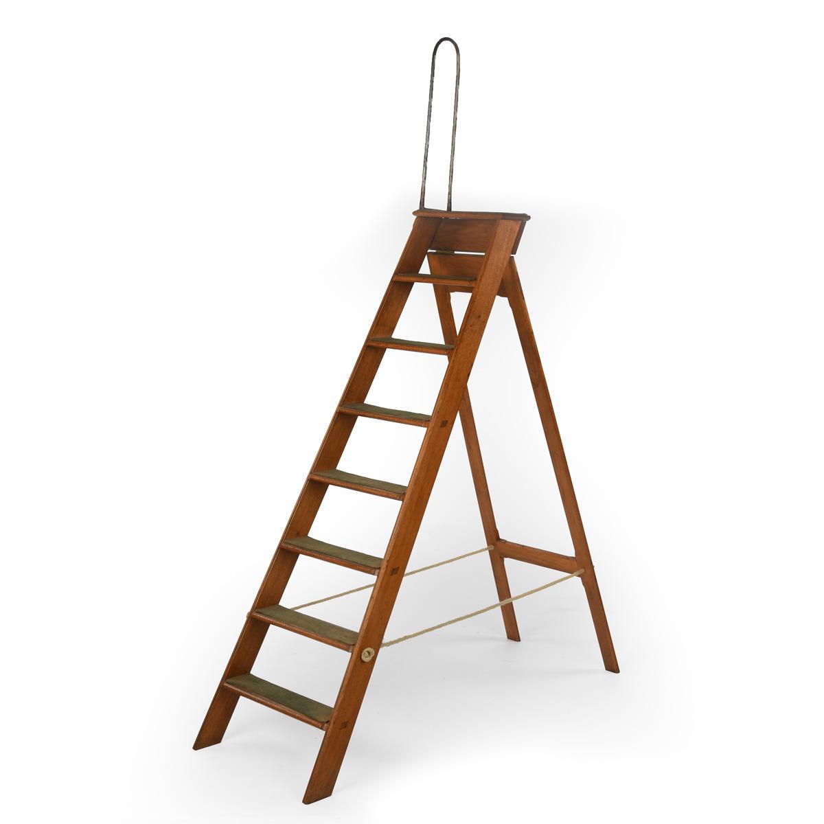 Unusual Set of Victorian Folding Walnut Library Steps (1 of 5)