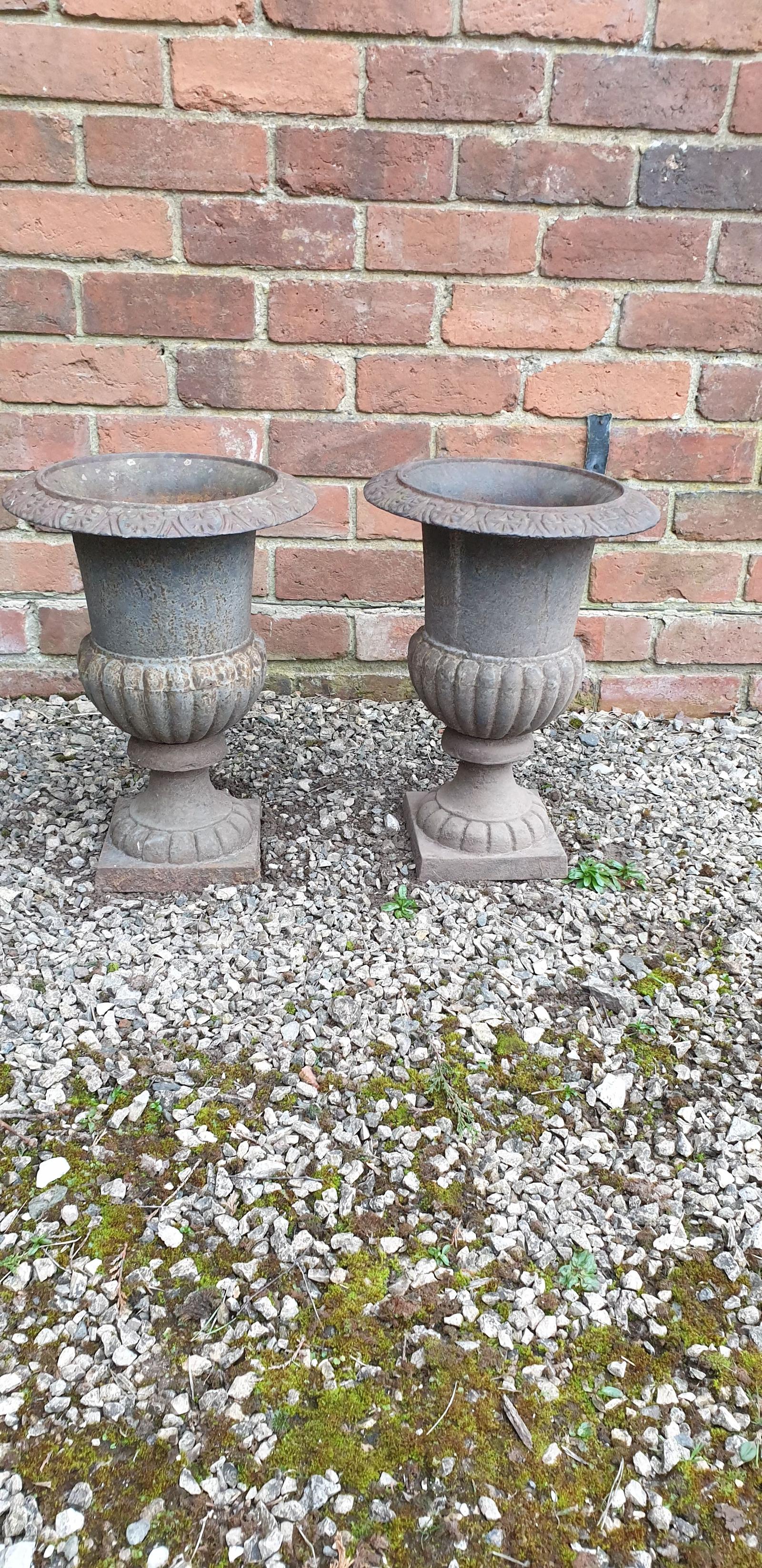 Pair of Cast Iron Garden Urns (1 of 5)