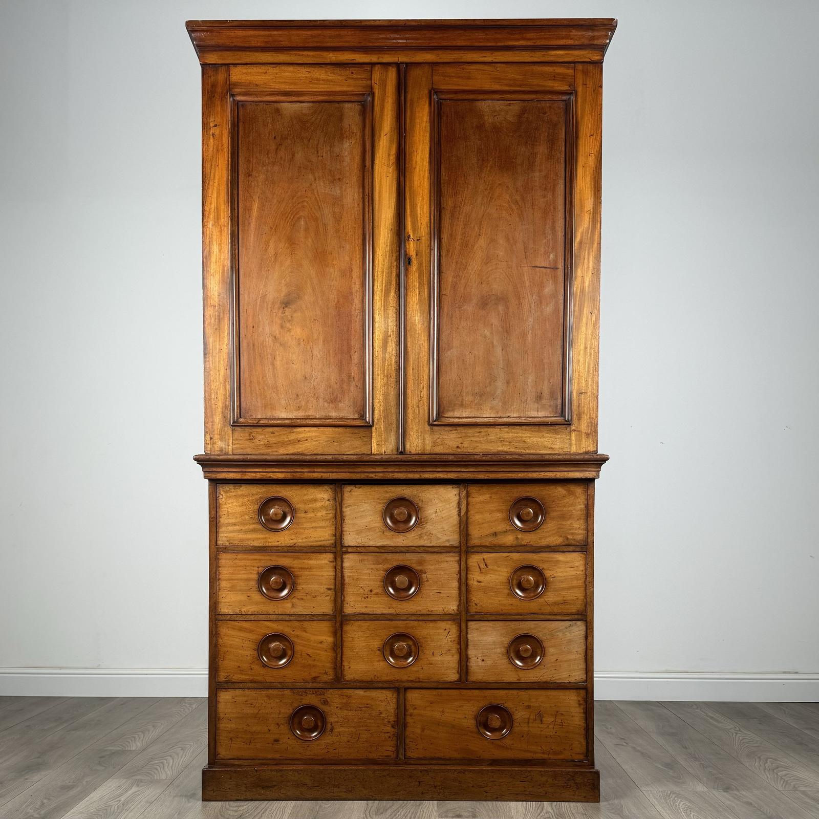 Antique 19th Century Fine Quality Cupboard in Mahogany (1 of 11)