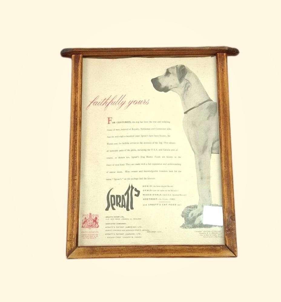 RARE Spratt's Patent Dog Food Advertising Poster in Original Frame (1 of 3)
