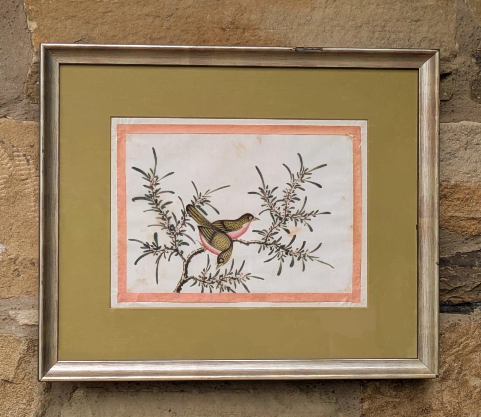 Antique Chinese Watercolour Painting Birds Among Branches (1 of 5)