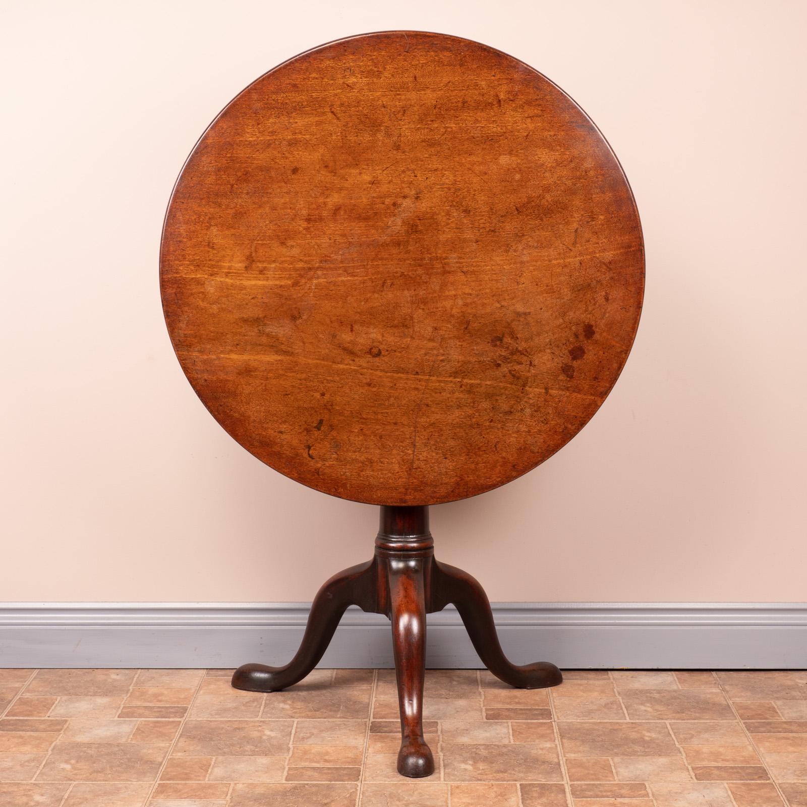 Georgian Mahogany Bird Cage Tip Table (1 of 14)