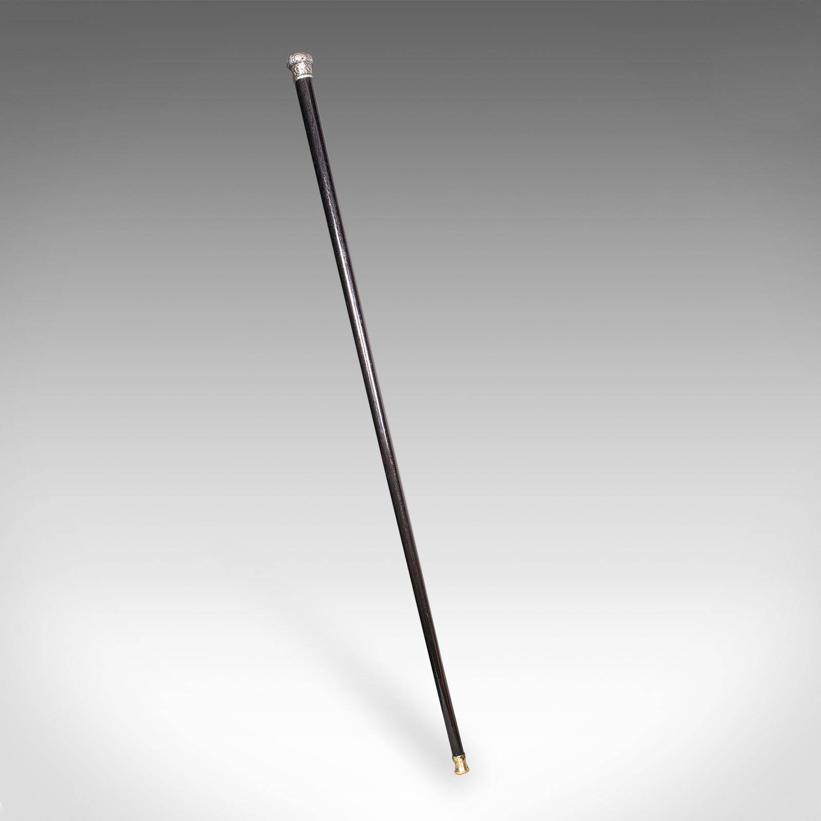 Antique Dandy’s Walking Cane, English, Stick, Ebonised, Victorian, 1889 Hallmark (1 of 9)