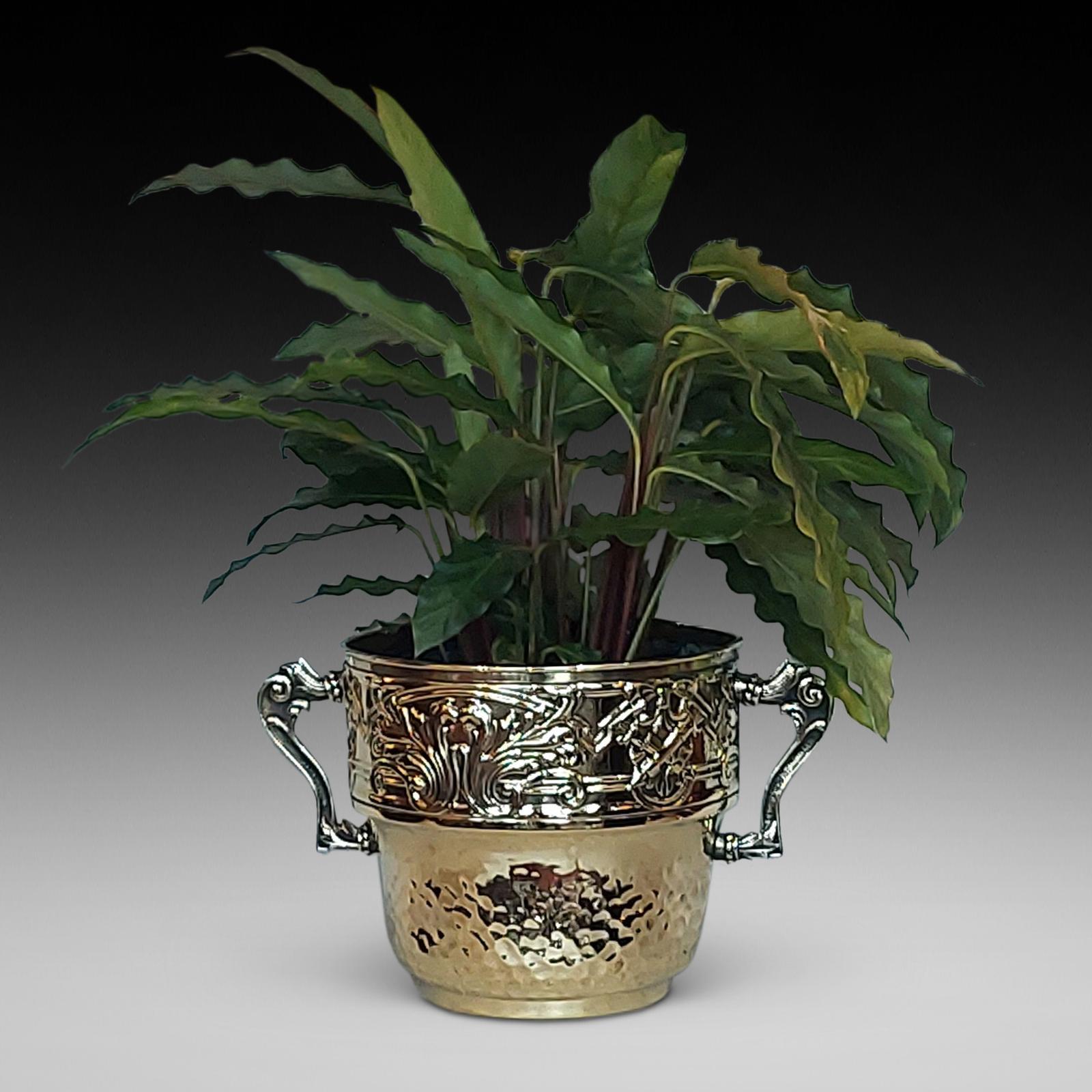Late 19thc French Brass Two Handled Trophy Vase (1 of 6)