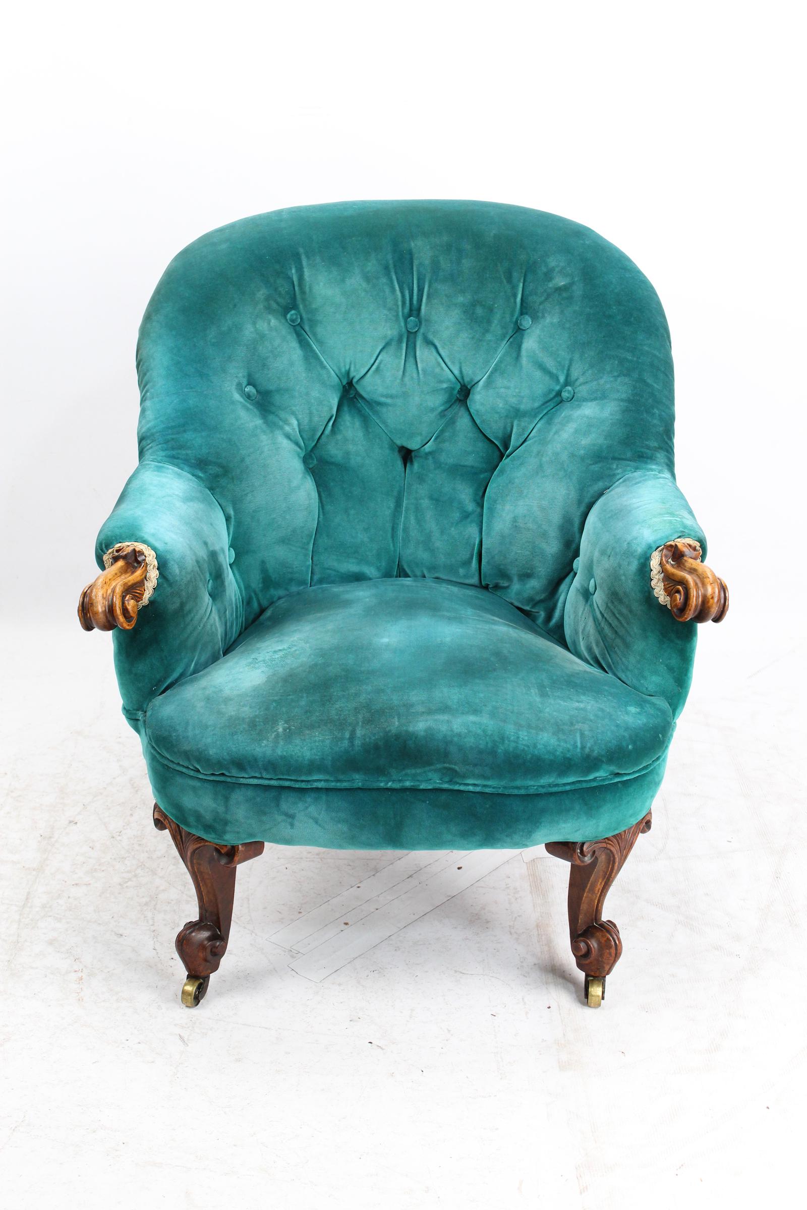 Victorian Button Back Walnut Tub Armchair (1 of 13) Victorian Button Back Walnut Tub Armchair (1 of 13)