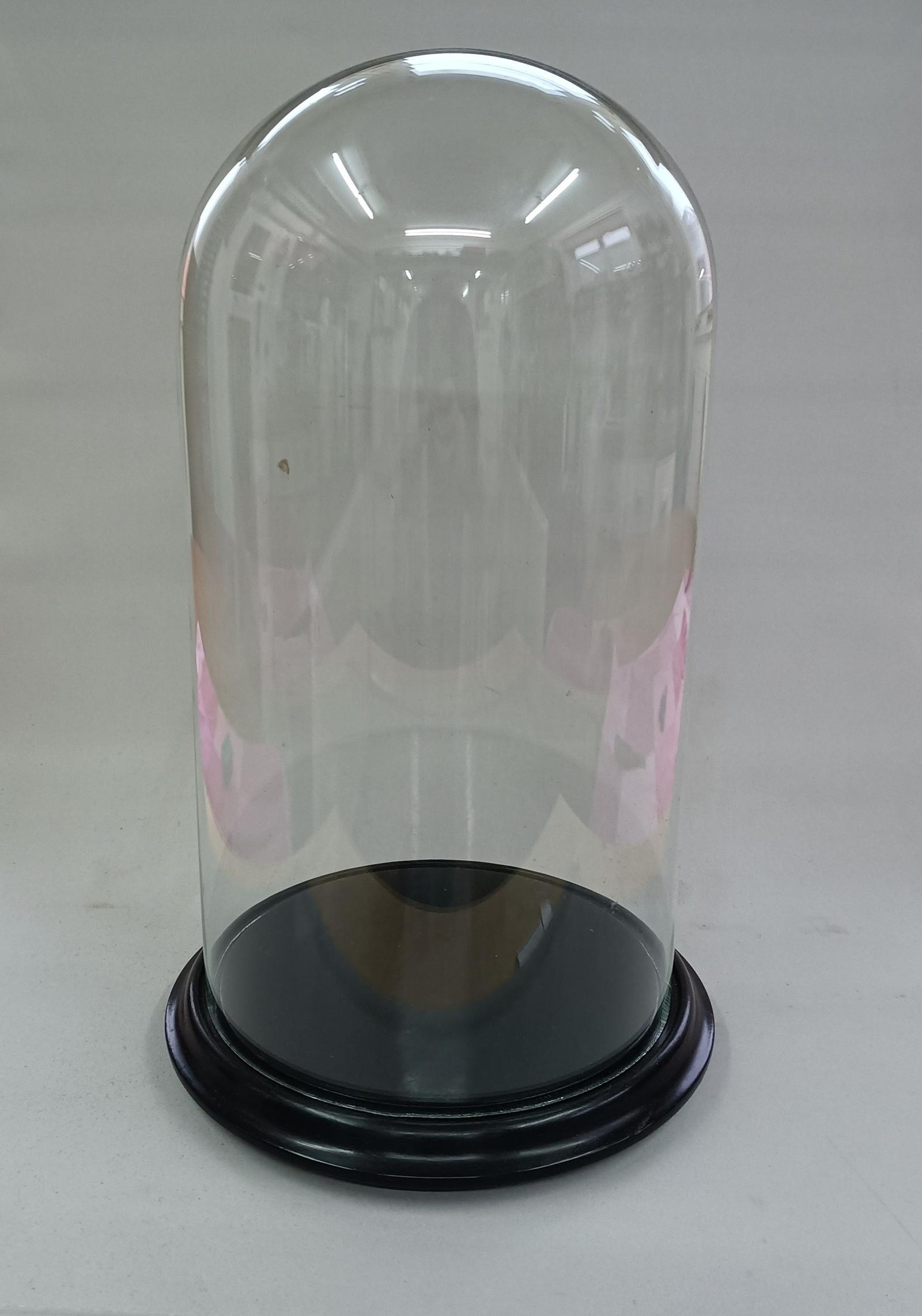 Victorian Glass Specimen Dome (1 of 2)