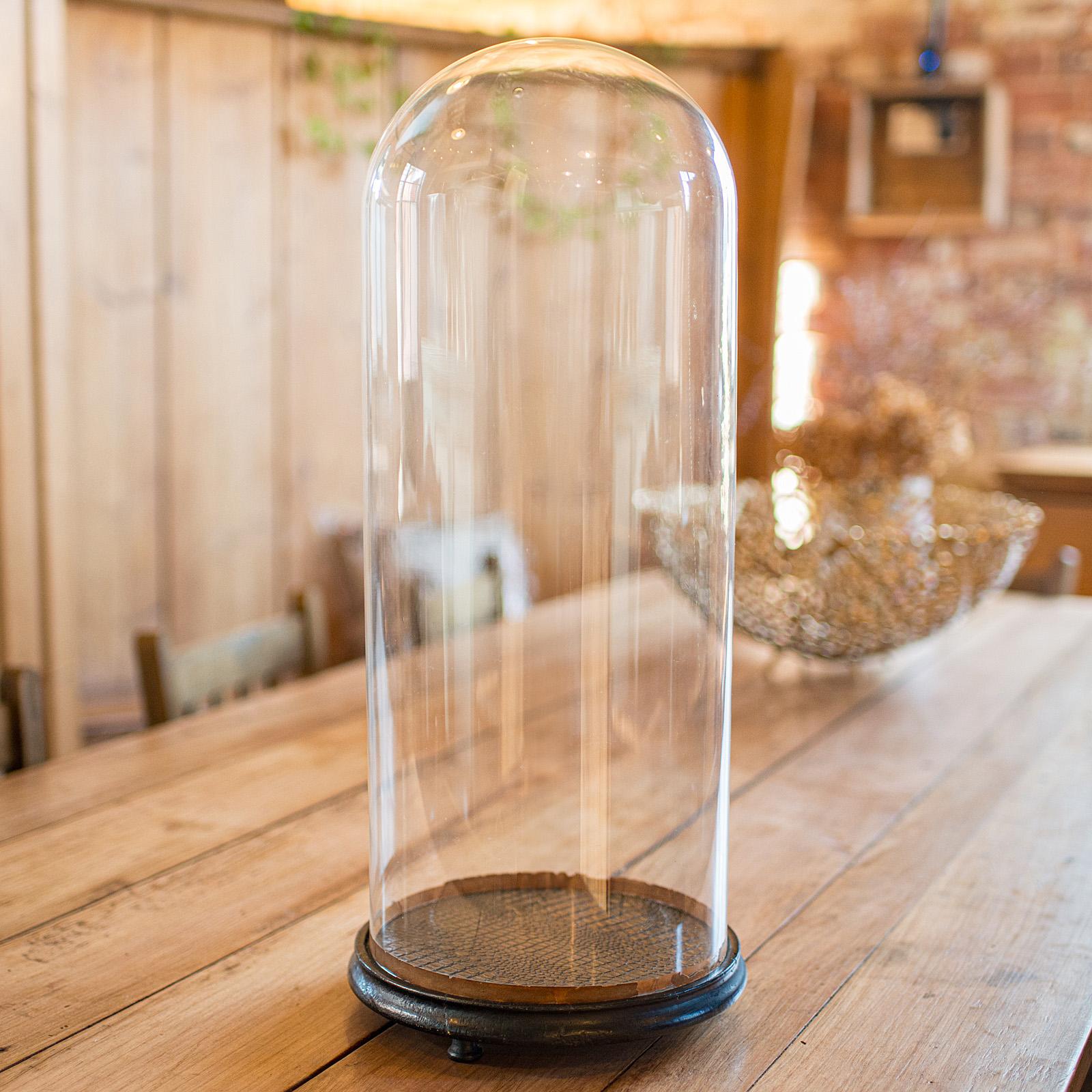 Tall Victorian Antique Specimen Showcase, English Glass, Taxidermy, Display Dome (1 of 10)