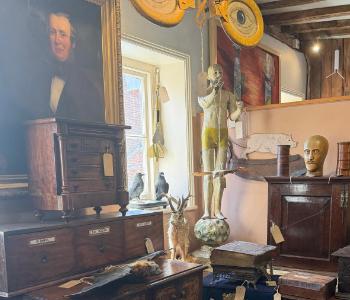 Featured Dealers