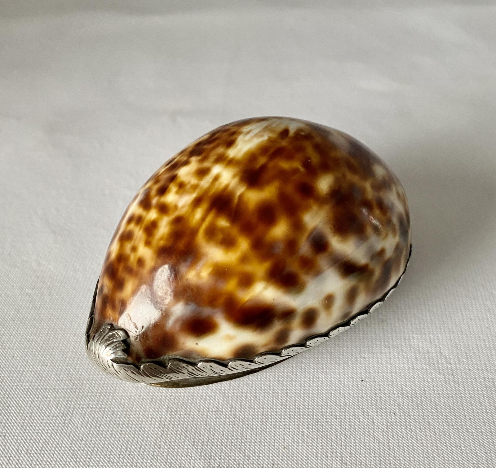 Georgian Silver Mounted Cowrie Scottish Snuff. C1780 (1 of 9)