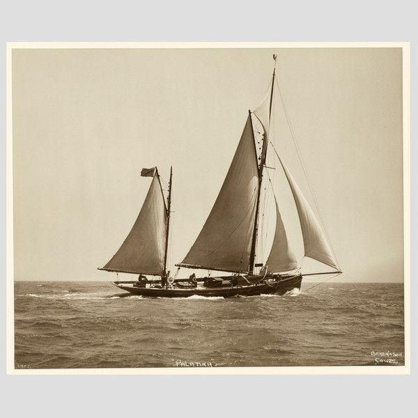 Yacht Palatina, Early Silver Photographic Print by Beken of Cowes (1 of 1)