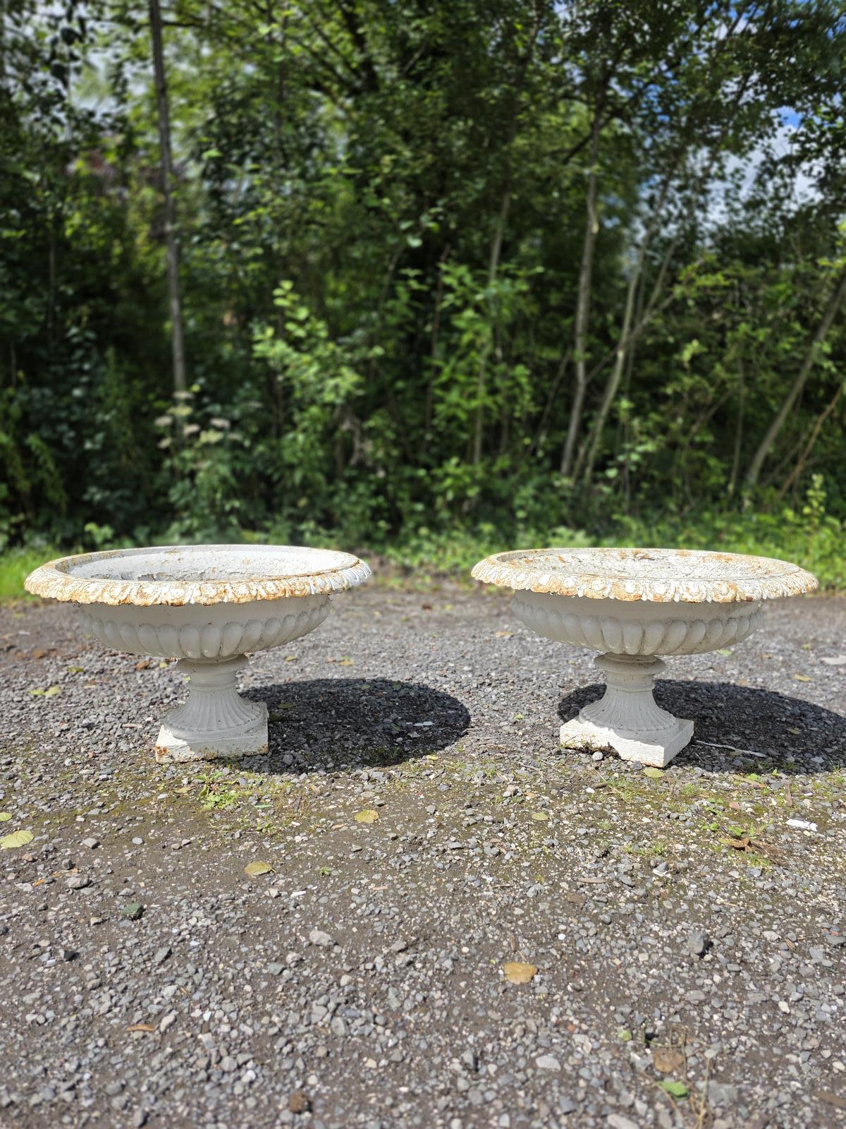Large Pair of Victorian Cast Iron Tazza Urns c.1870 (1 of 10) Large Pair of Victorian Cast Iron Tazza Urns c.1870 (1 of 10)