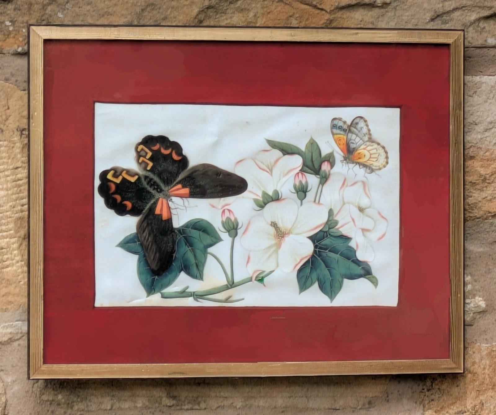 Antique Chinese Watercolour Painting Butterflies and Blossoms (1 of 6) Antique Chinese Watercolour Painting Butterflies and Blossoms (1 of 6)