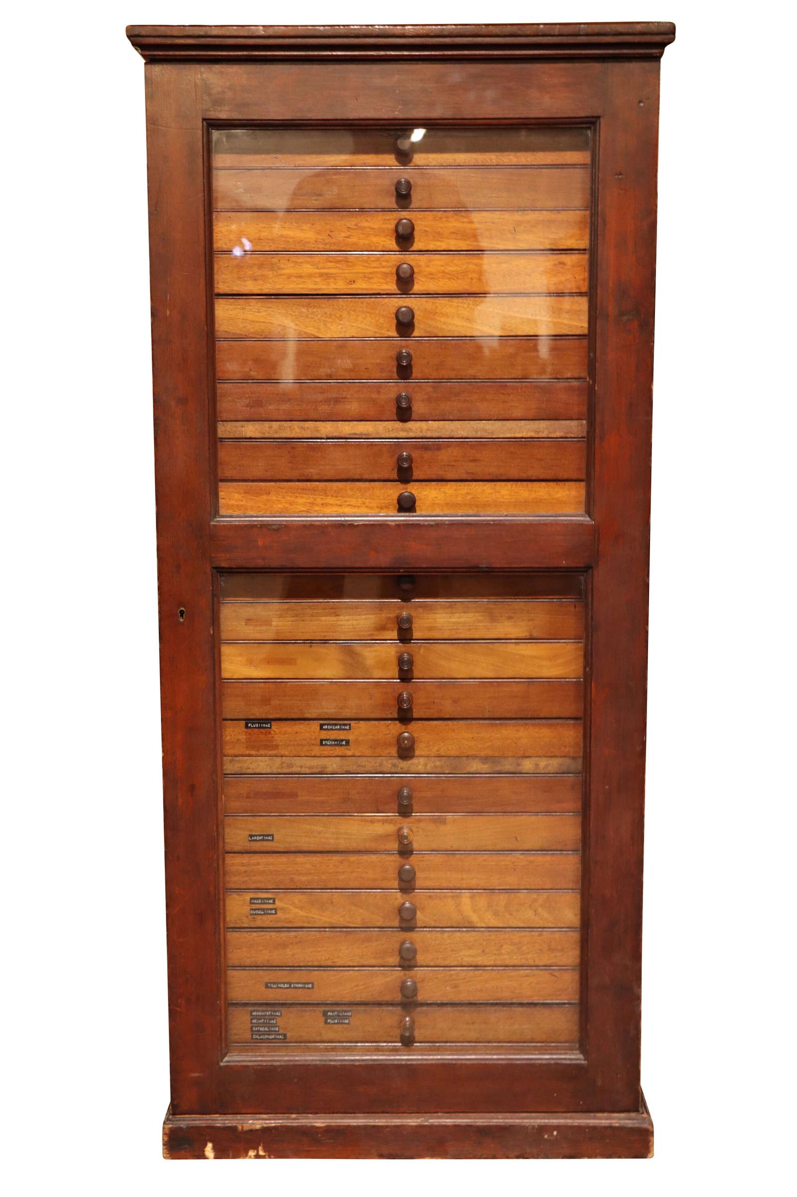 19th Century Mahogany Collector’s Cabinet with Entomological Specimens – 24 Drawers (1 of 19) 19th Century Mahogany Collector’s Cabinet with Entomological Specimens – 24 Drawers (1 of 19)