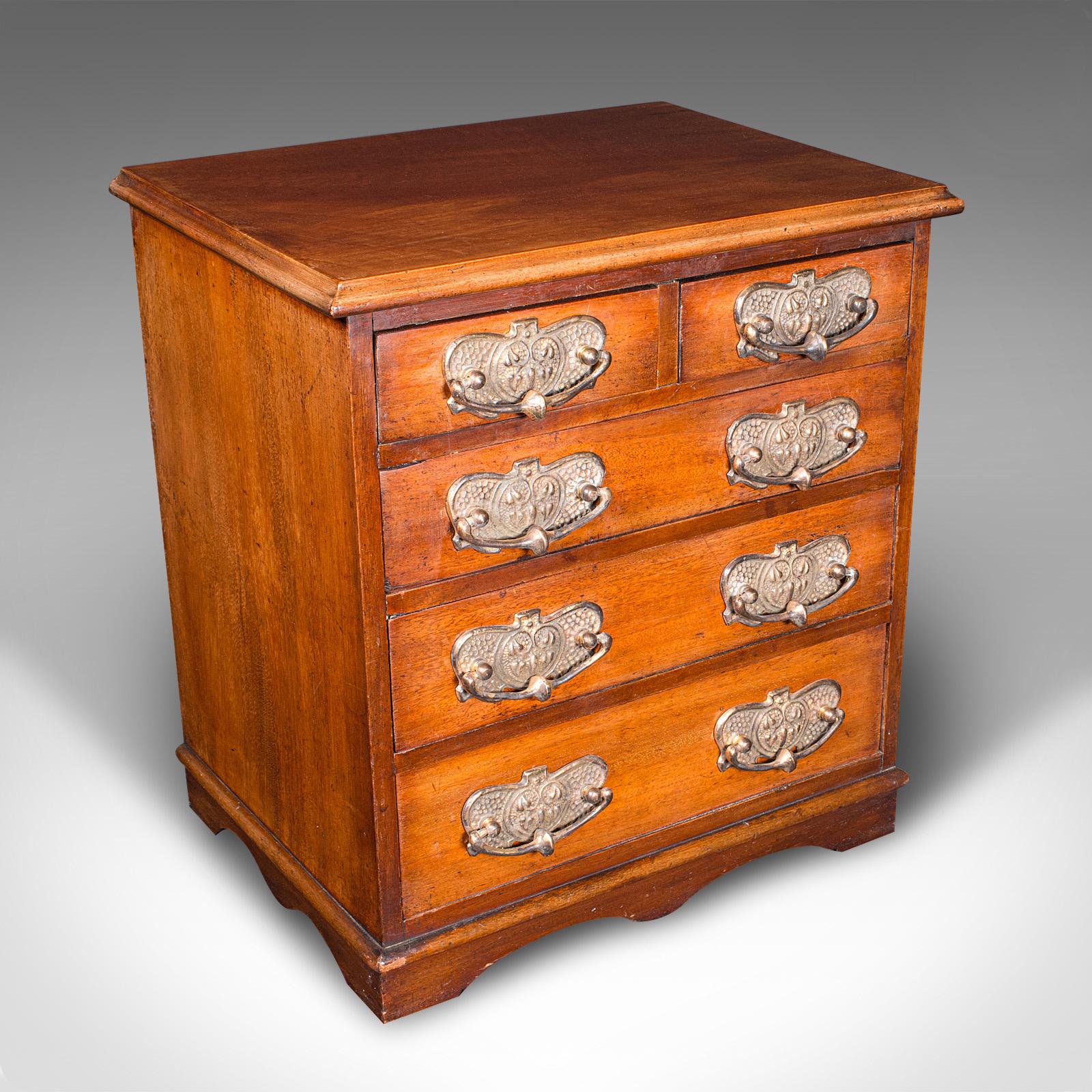 Antique Desktop Specimen Case, English, Miniature Chest of Drawers c.1900 (1 of 10)