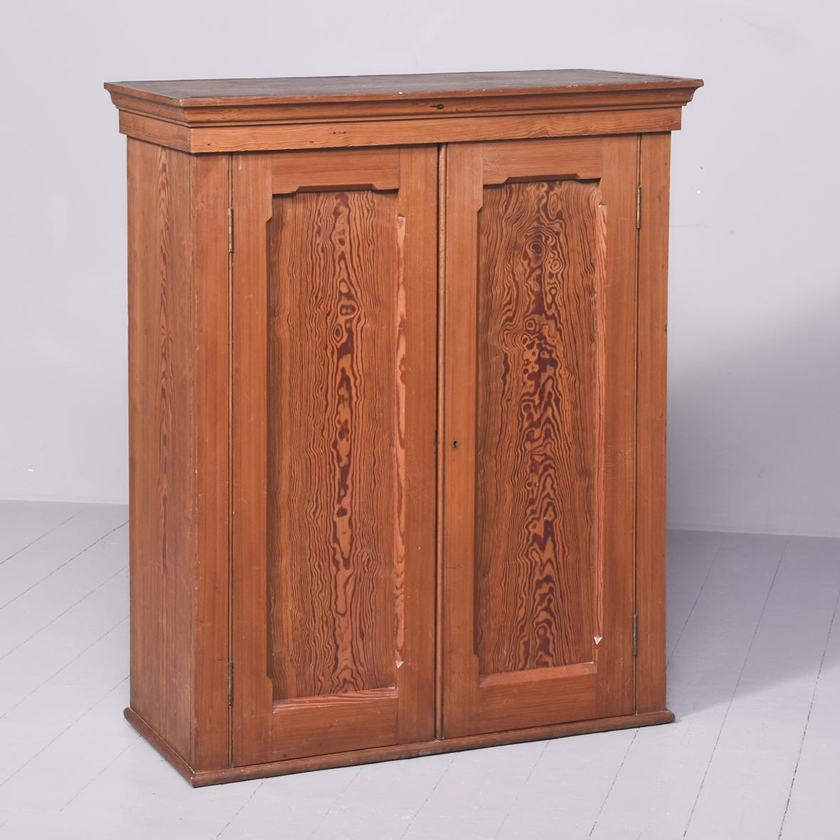 Pitch Pine 2 Door Cabinet (1 of 6)