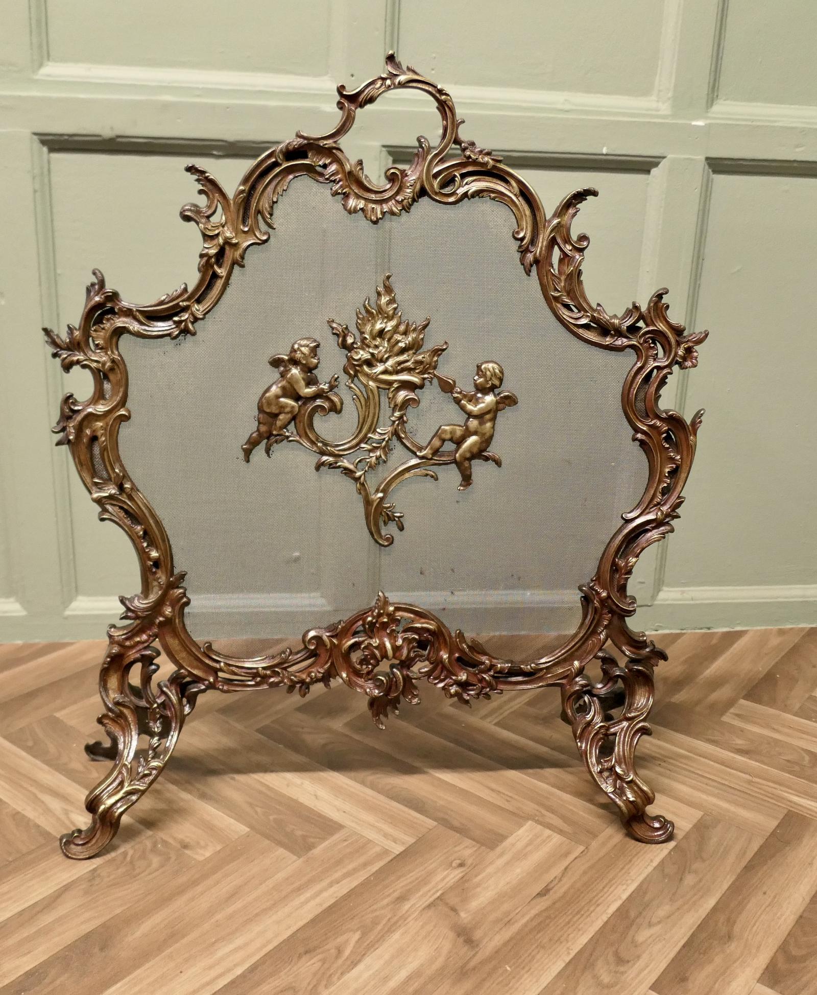 Superb French Brass Rococo Spark Guard / Fire Screen (1 of 6)