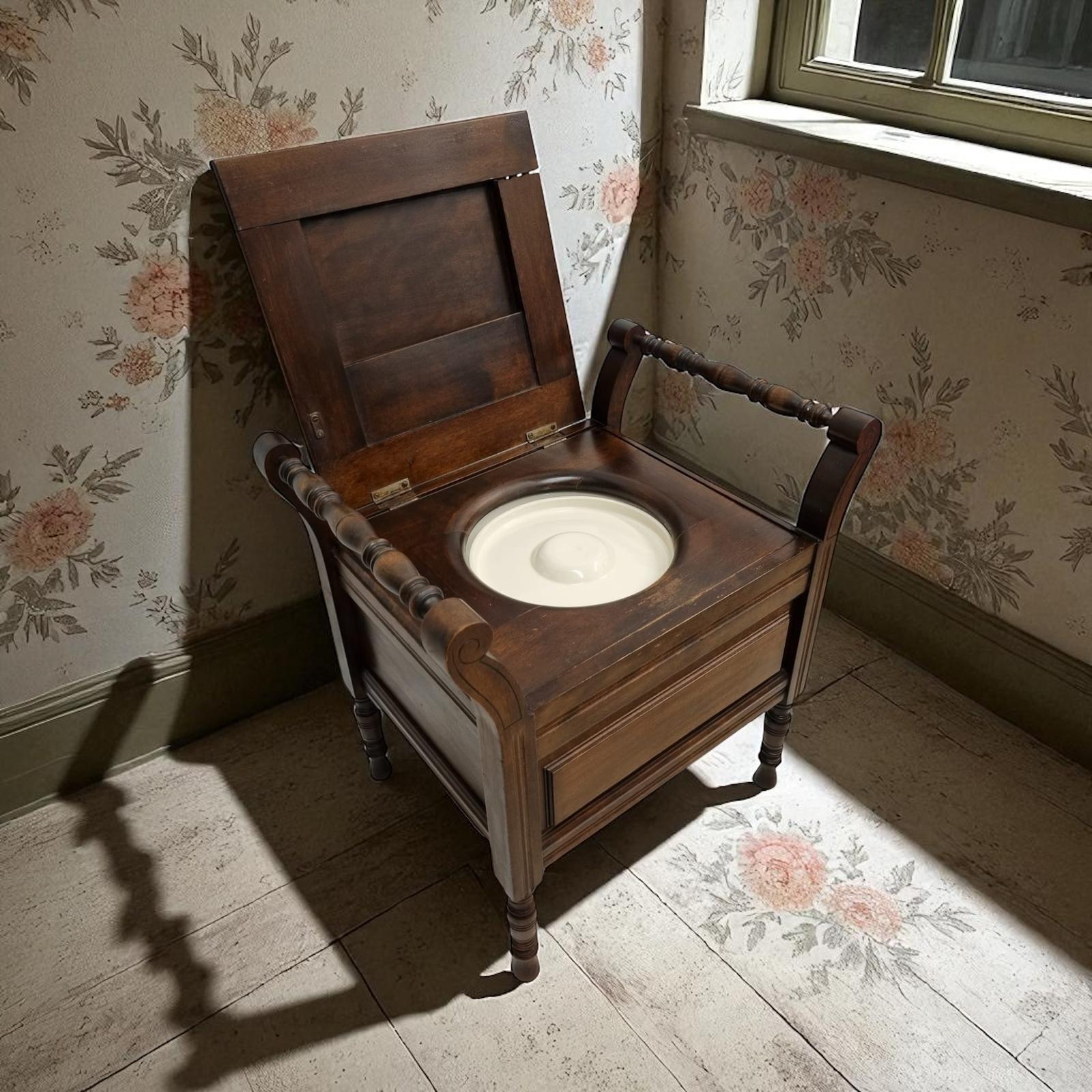 Antique Edwardian Mahogany Commode Chair / Original Porcelain Insert / Early 20th Century (1 of 10)
