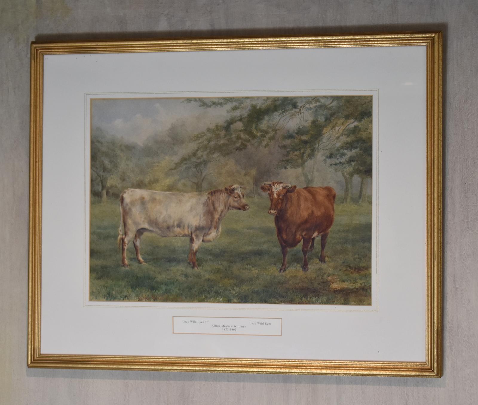 Watercolour of Prized Cattle by Alfred Mayhew Williams (1 of 7) Watercolour of Prized Cattle by Alfred Mayhew Williams (1 of 7)