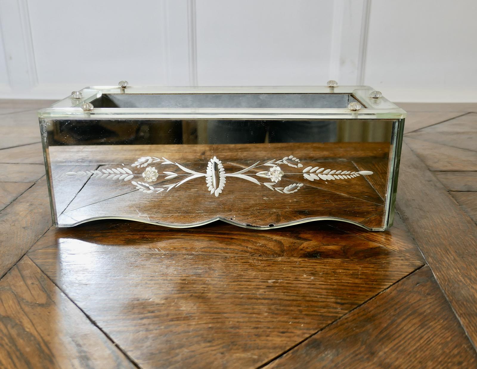 An Etched Venetian Mirrored Planter Trough (1 of 6) An Etched Venetian Mirrored Planter Trough (1 of 6)